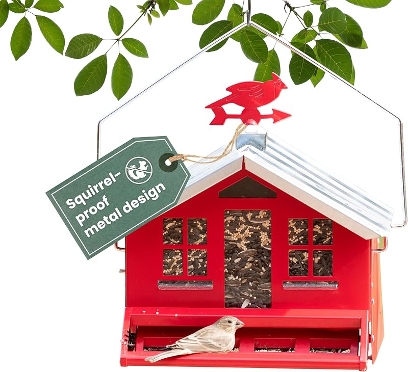 Perky-Pet Squirrel-Be-Gone II Country Style Bird Feeder, 8 lb Seed Capacity
