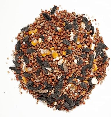Wagner's 53003 Farmer's Delight Wild Bird Food with Cherry Flavor, 20-Pound Bag — view 4