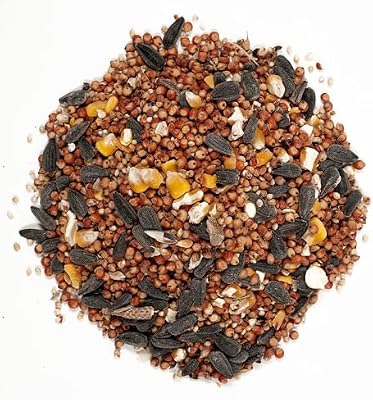 Wagner's 53002 Farmer's Delight Wild Bird Food with Cherry Flavor, 10-Pound Bag — view 4
