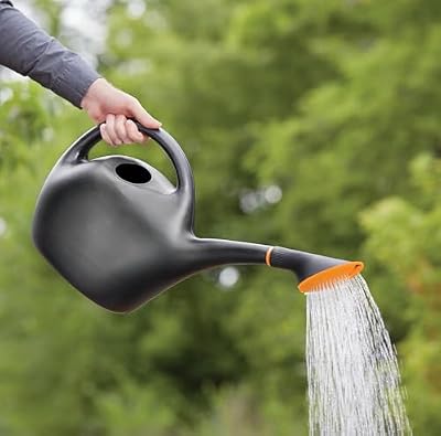 Bloem: Easy Pour Watering Can - Black - 1.6 Gallon (204 Oz), Durable Construction, Dual Handles, Sprinkle & S… — view 3