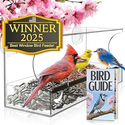 Window Bird Feeder by Nature's Hangout - No Assembly, Strong Suction Cups — view 2