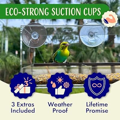 Window Bird Feeder by Nature's Hangout - No Assembly, Strong Suction Cups — view 4