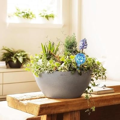 Plant Watering Globes Set of 6, Small - Glass Self Watering Globes — view 3