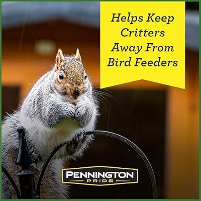 Pennington Squirrel & Critter Blend with Sunflower, Corn & in Shell Peanuts — view 4