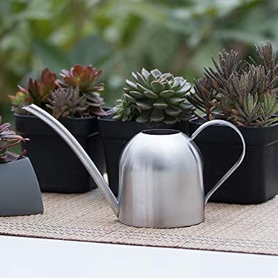 Watering Can for Indoor Plants, 30oz Long Spout Stainless Steel — view 3