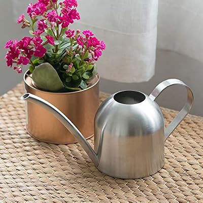 Watering Can for Indoor Plants, 30oz Long Spout Stainless Steel — view 4