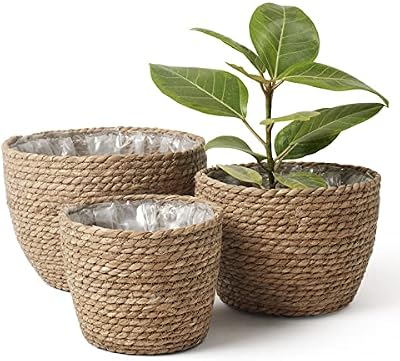 LA JOLIE MUSE Seagrass Basket Planters for Indoor Plants, Flower Pot 3 Pack — view 2