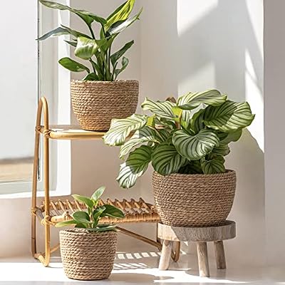 LA JOLIE MUSE Seagrass Basket Planters for Indoor Plants, Flower Pot 3 Pack — view 3