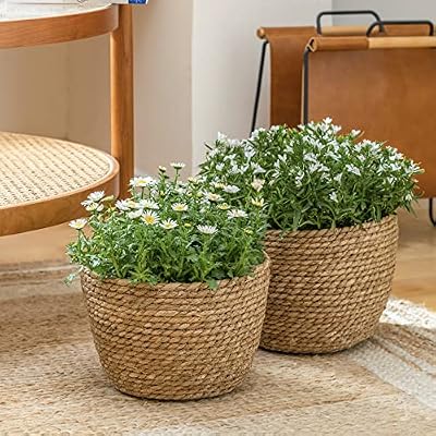 LA JOLIE MUSE Seagrass Basket Planters for Indoor Plants, Flower Pot 3 Pack — view 4