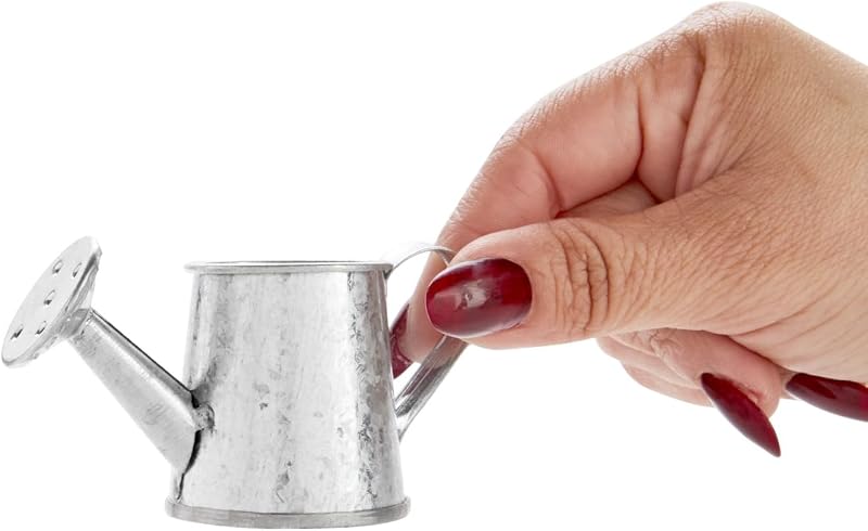 Juvale Mini Watering Can - 3 x 1.6 in, Silver, 12-Pack - Plant Waterer & Indoor Water Pot for Plants - Garden…