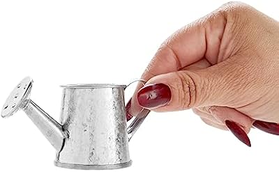Juvale Mini Watering Can - 3 x 1.6 in, Silver, 12-Pack - Plant Waterer & Indoor Water Pot for Plants - Garden… — view 2
