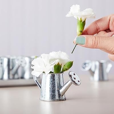 Juvale Mini Watering Can - 3 x 1.6 in, Silver, 12-Pack - Plant Waterer & Indoor Water Pot for Plants - Garden… — view 4