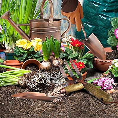 1 Gallon Galvanized Steel Watering Can with 3 Pcs of Garden Tools, 1 Pc of Pruning Shear, 1 Pair of Gardening… — view 4