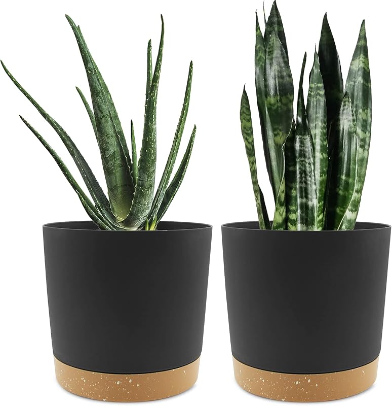 QCQHDU 8 inch Plant Pot, 2 Pack Planters for Indoor Plants with Drainage Holes & Saucer, Outdoor Flower Pots…
