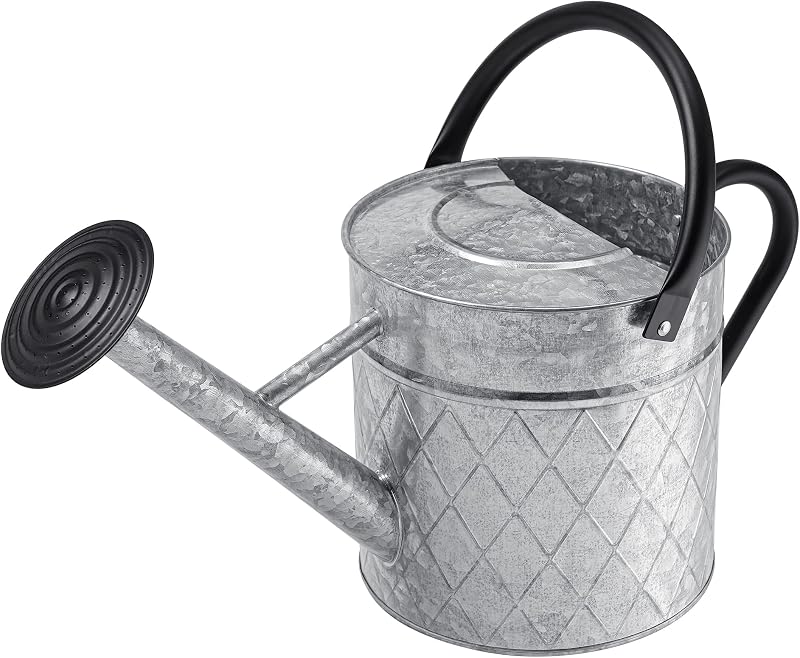 1.75 Gallon Outdoor Galvanized Metal Watering Can for Garden Plants, Vintage Zinc Watering Can with Removable…