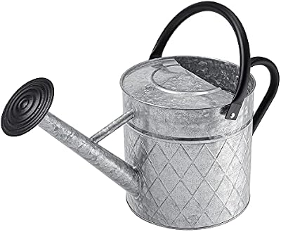1.75 Gallon Outdoor Galvanized Metal Watering Can for Garden Plants, Vintage Zinc Watering Can with Removable… — view 2