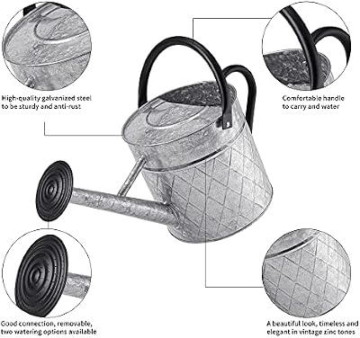 1.75 Gallon Outdoor Galvanized Metal Watering Can for Garden Plants, Vintage Zinc Watering Can with Removable… — view 3