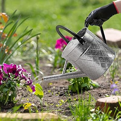 1.75 Gallon Outdoor Galvanized Metal Watering Can for Garden Plants, Vintage Zinc Watering Can with Removable… — view 4