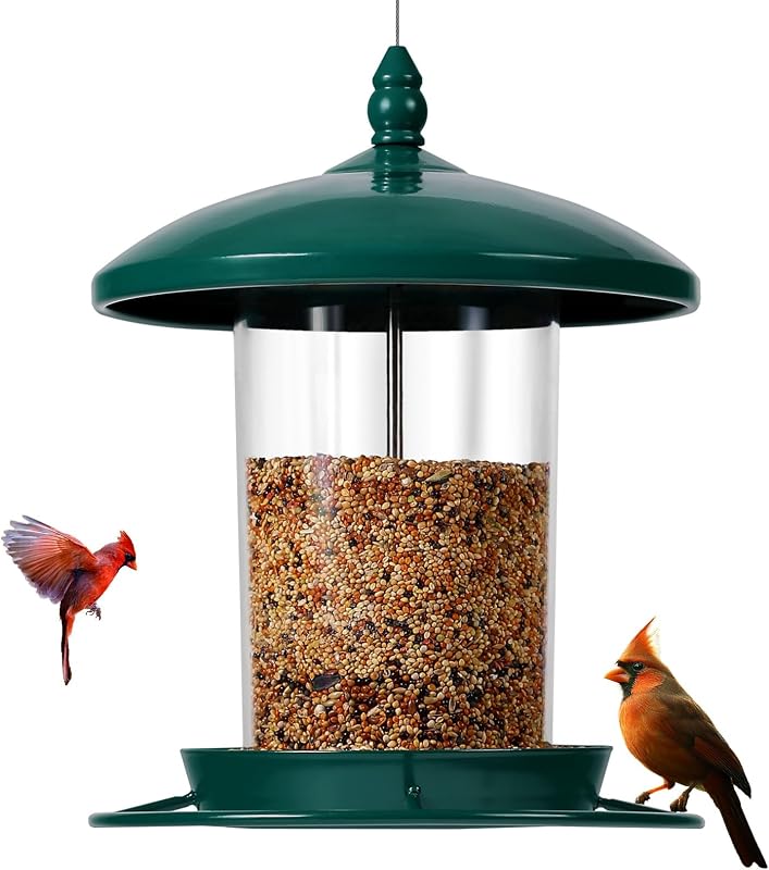 Metal Bird Feeder for Outdoors Hanging,3.0LB Seed Feeder,Easy to Fill & Clean,360° Feeding,Chew Proof Weather…