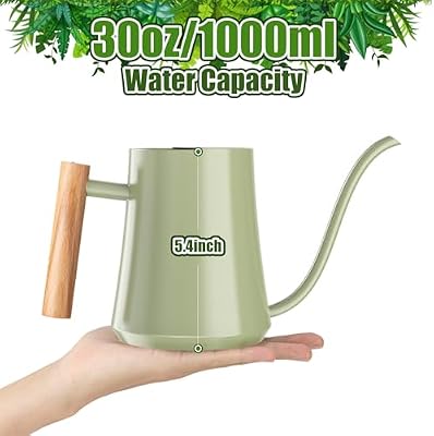 Green Moon 1L/35oz Metal Watering Can Indoor with Long Spout, Sage Green — view 3