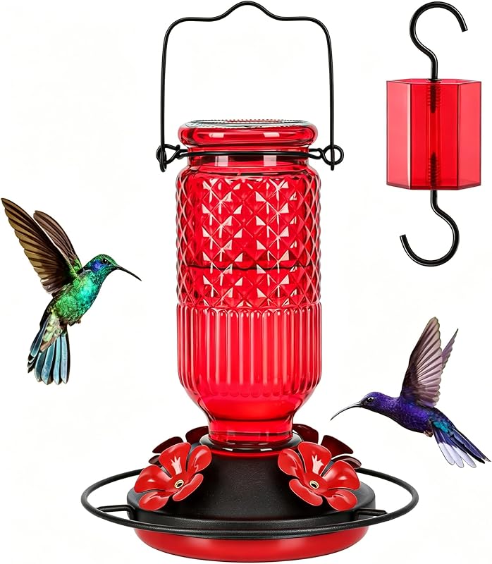 FEED GARDEN Glass Hummingbird Feeder for Outdoors Hanging, 16 oz Leak-Proof Nectar Feeder with Bee Guards & A…