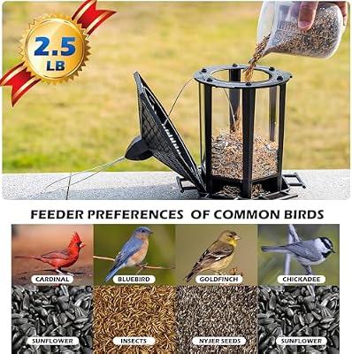 Birdream 2 Pack Bird Feeders for Outdoor Hanging, Retro Pagoda Design Fun Installation Bird Feeder, Attractin… — view 3
