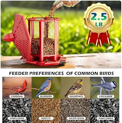 Birdream Bird Feeders for Outdoor Hanging, Fun Installation Pagoda Design Wild Birdfeeder, Attracting Wild Bi… — view 3