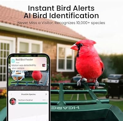 Smart Bird Feeder with Camera Solar Powered, 2K HD Video, AI Bird Species Identification, Instant Arrival Ale… — view 4
