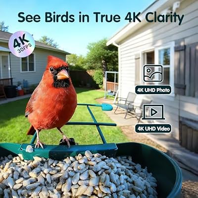 4K Smart Bird Feeder with Camera,No Subscription,Solar Powered — view 3