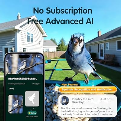 4K Smart Bird Feeder with Camera,No Subscription,Solar Powered — view 4