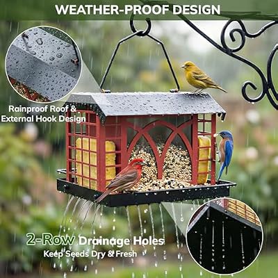 Bird Feeders for Outdoors Hanging, Metal Bird Feeder with Double Suet Cage Weatherproof Metal Roof, 3.5Lbs La… — view 4