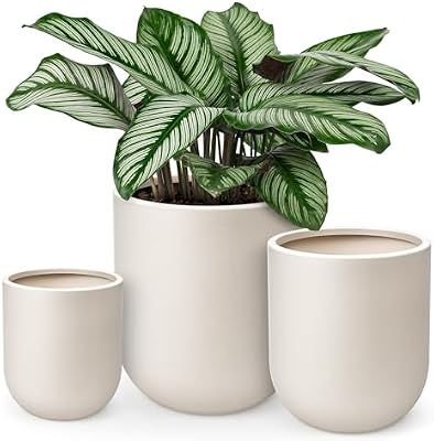 homenote 13/11.5/10 Inch Large Plastic Plant Pots with Drain Holes (3 Pcs) — view 2