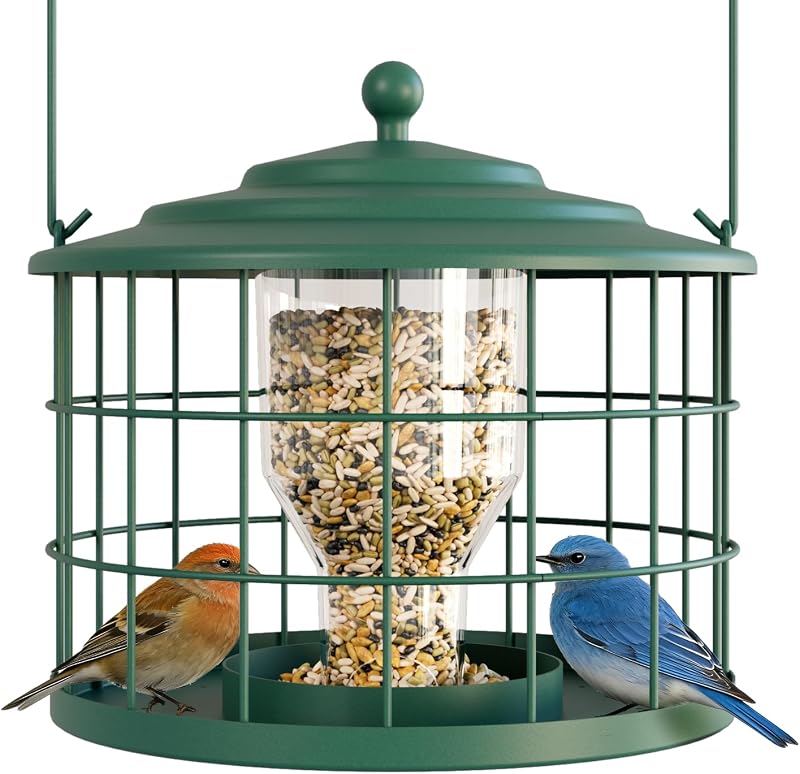 Birdream Metal Cage Bird Feeder for Outdoor Hanging, Green