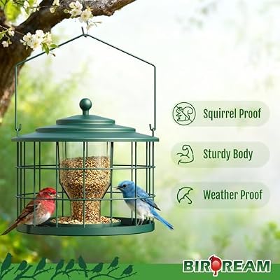 Birdream Metal Cage Bird Feeder for Outdoor Hanging, Green — view 3