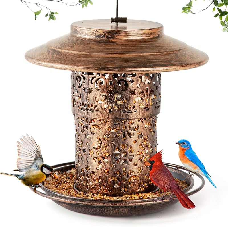 Metal Bird Feeder for Outdoors Hanging, Ciarain Small Wild Bird Feeders