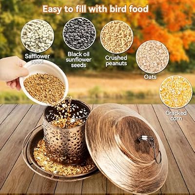 Metal Bird Feeder for Outdoors Hanging, Ciarain Small Wild Bird Feeders — view 4
